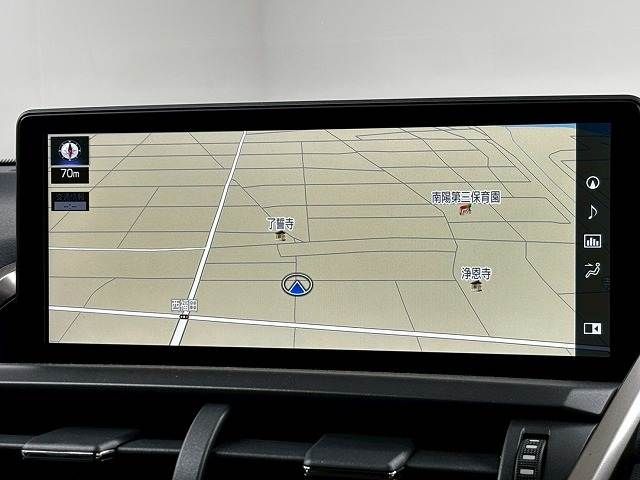LEXUS NX300