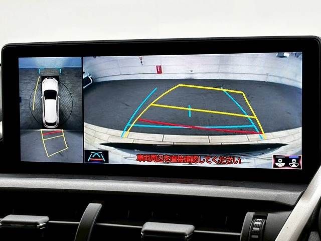 LEXUS NX300