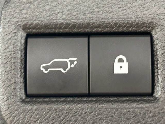 LEXUS NX300