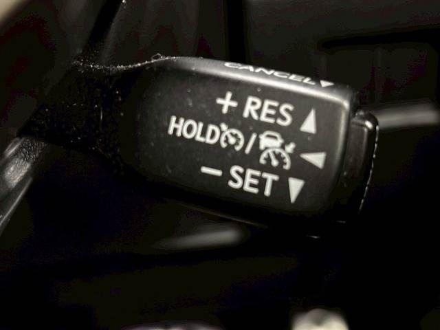 LEXUS NX300