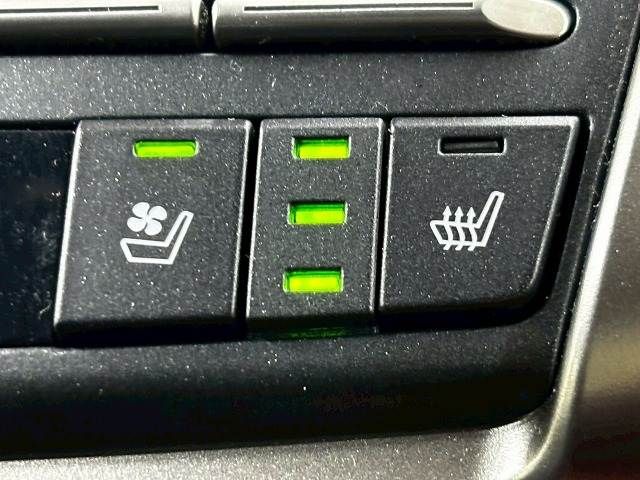 LEXUS NX300