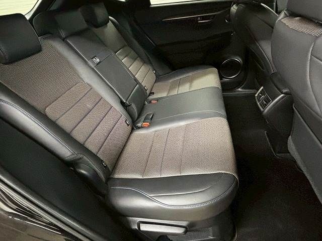 LEXUS NX300