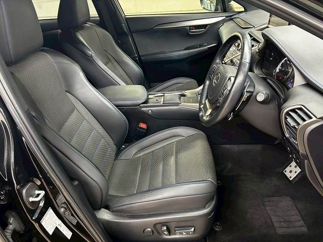 LEXUS NX300