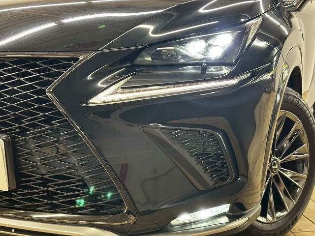 LEXUS NX300