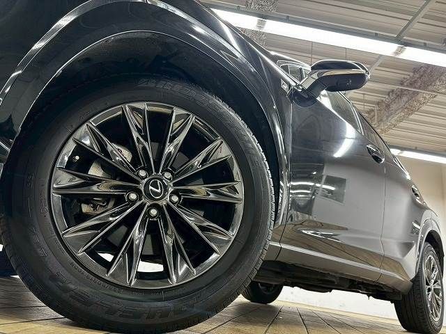 LEXUS NX300