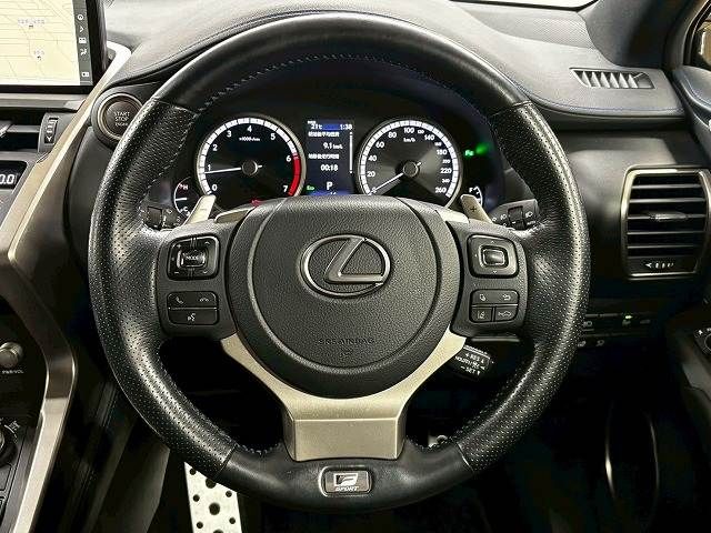 LEXUS NX300