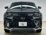 LEXUS NX300