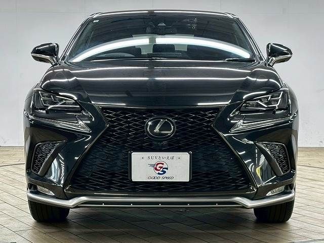 LEXUS NX300