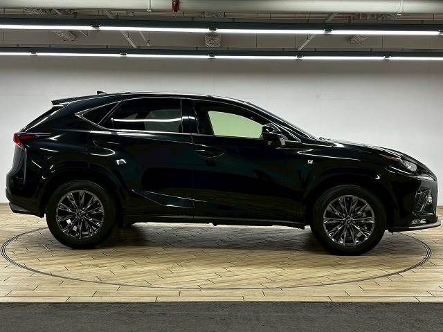 LEXUS NX300