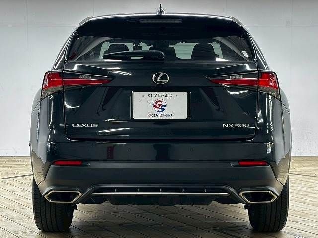 LEXUS NX300