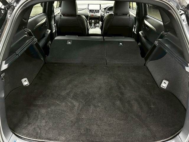 LEXUS NX300