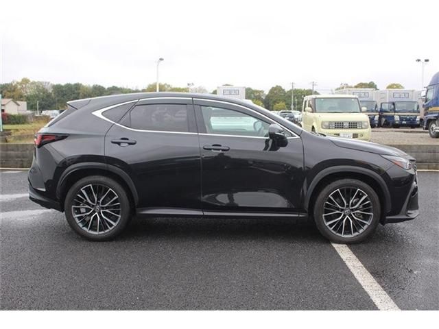 LEXUS NX350h AWD