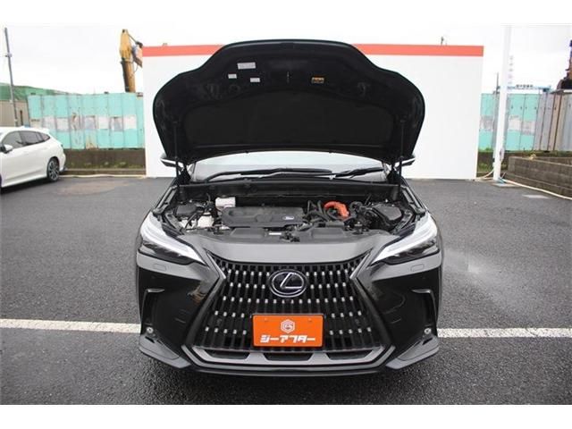 LEXUS NX350h AWD
