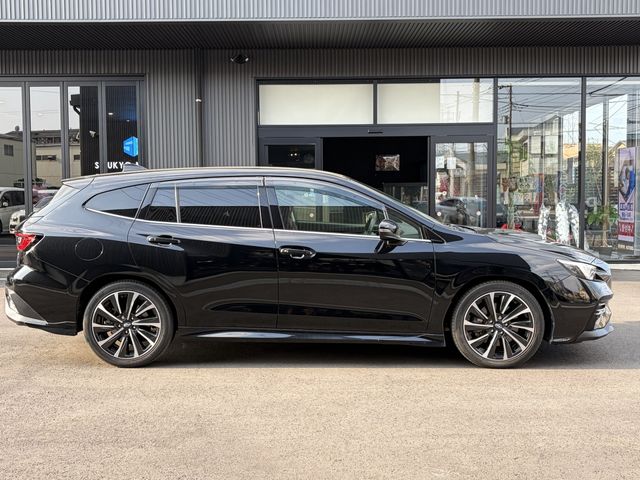 LEVORG
