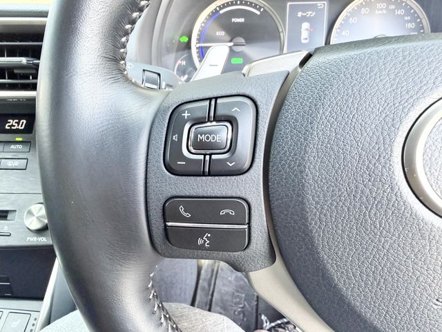 LEXUS IS300h