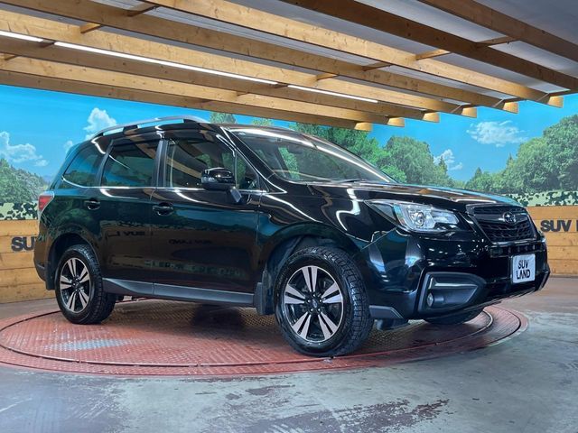 FORESTER