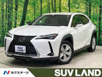 LEXUS UX250h