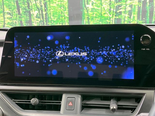 LEXUS UX250h