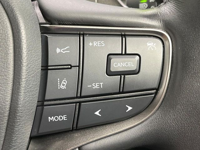 LEXUS UX250h