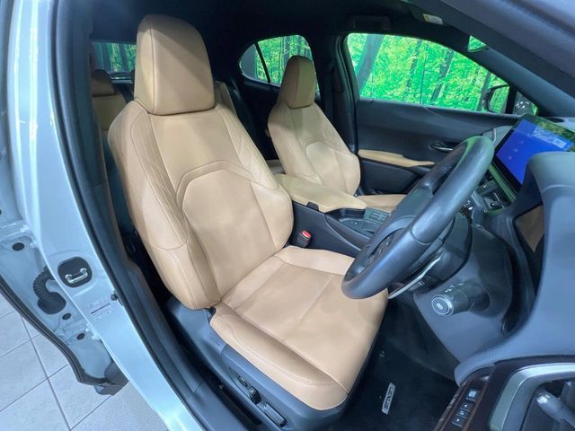 LEXUS UX250h