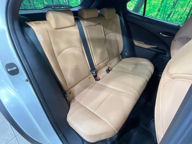 LEXUS UX250h
