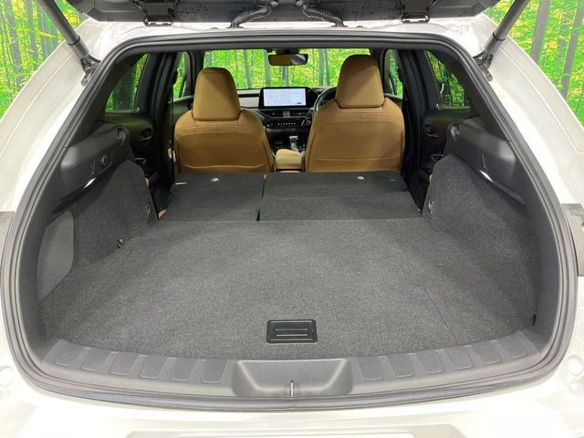 LEXUS UX250h
