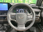 LEXUS UX250h