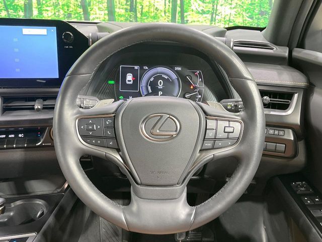 LEXUS UX250h