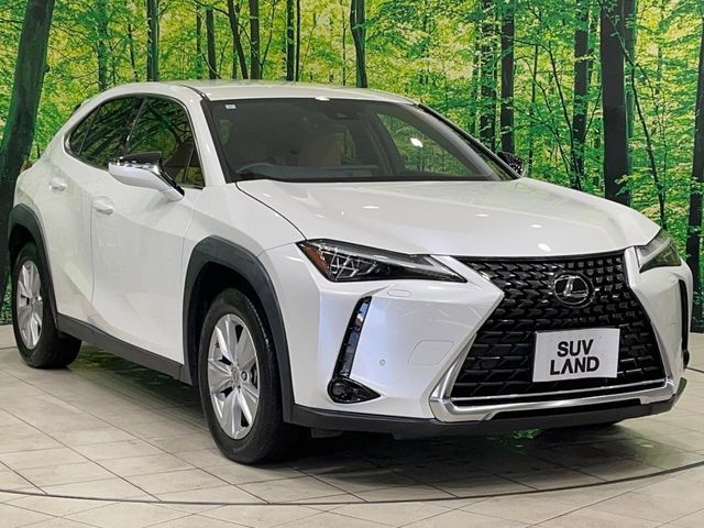 LEXUS UX250h