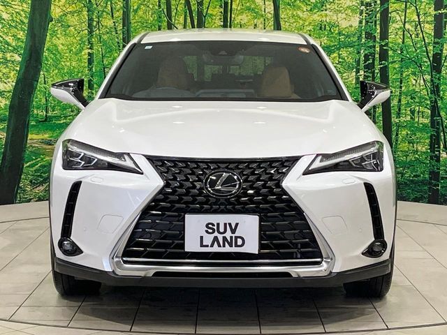 LEXUS UX250h
