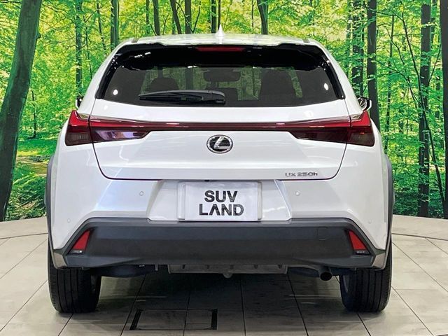 LEXUS UX250h
