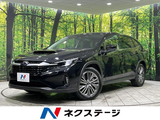 LEVORG LAYBACK