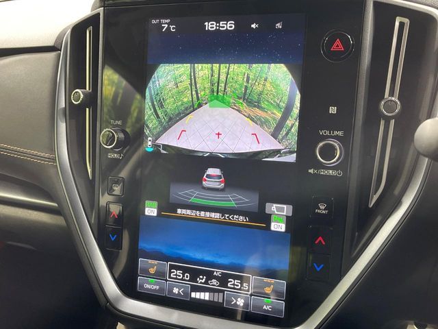 LEVORG LAYBACK