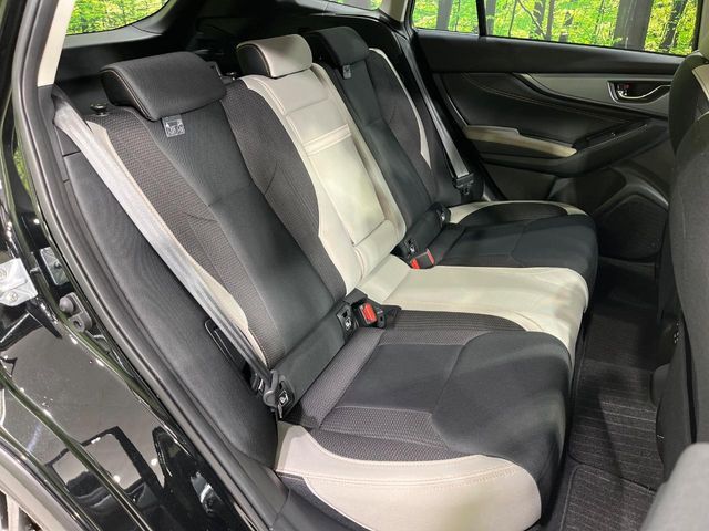 LEVORG LAYBACK