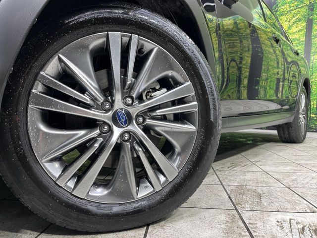 LEVORG LAYBACK