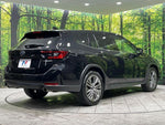 LEVORG LAYBACK
