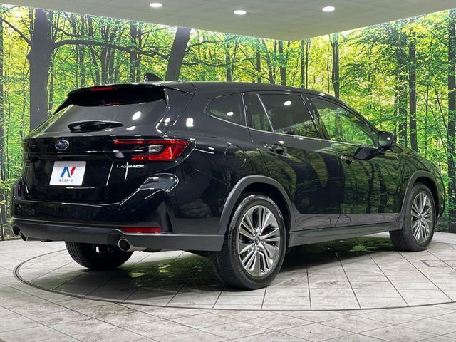 LEVORG LAYBACK