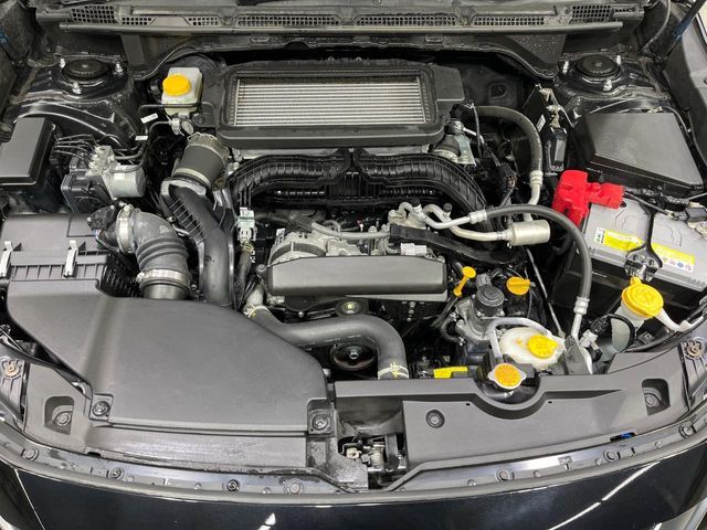 LEVORG LAYBACK