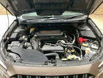 LEGACY OUTBACK