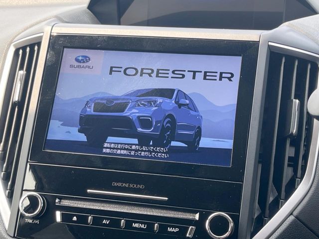FORESTER
