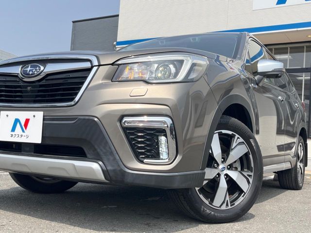 FORESTER