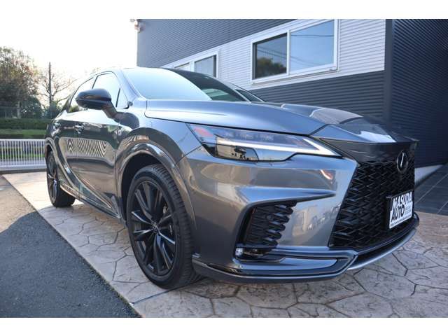 LEXUS RX500h