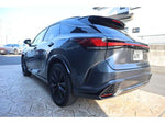 LEXUS RX500h