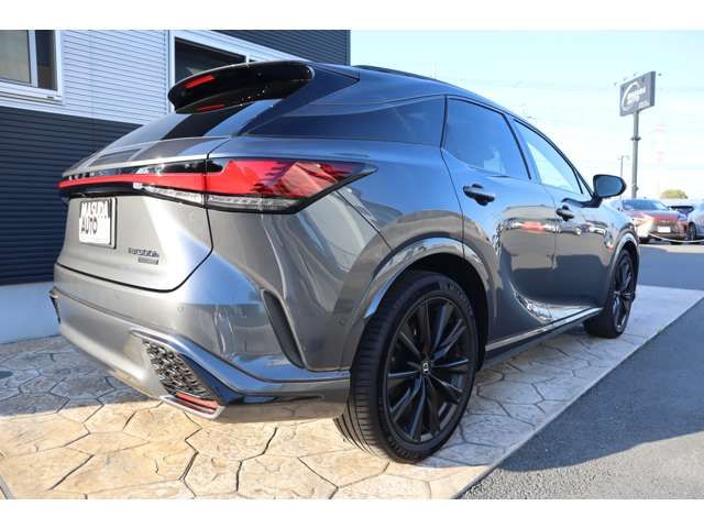 LEXUS RX500h