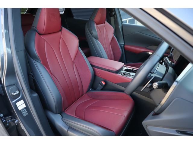 LEXUS RX500h