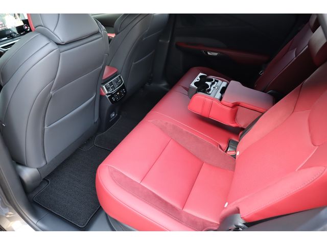 LEXUS RX500h