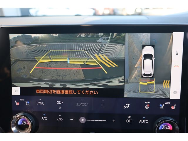 LEXUS RX500h