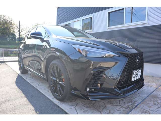 LEXUS NX350h