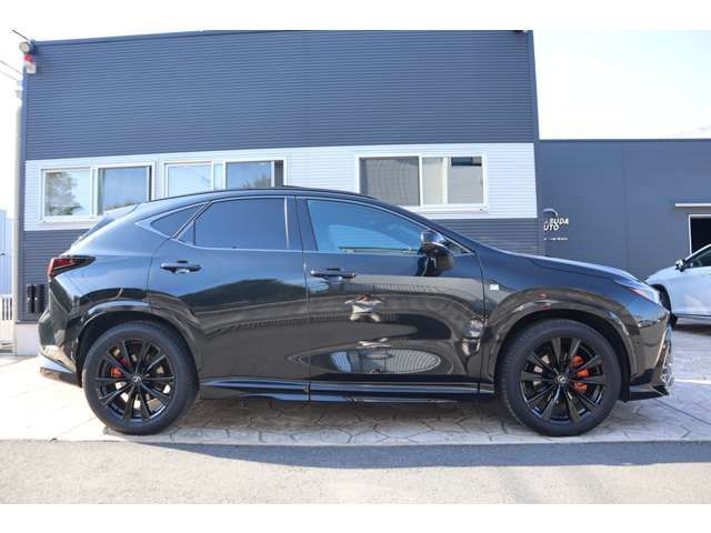 LEXUS NX350h
