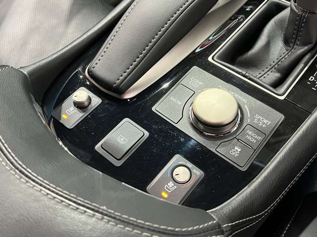 LEXUS LS460